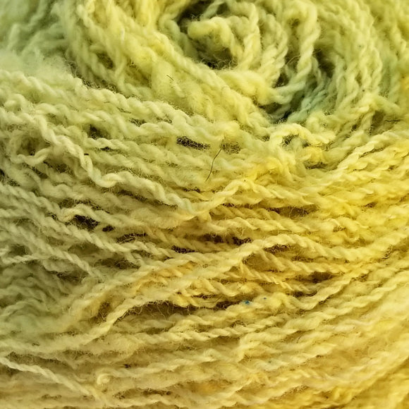 Border Leicester, 2 ply Fingering weight, 103 yds: Speckled Celery Green